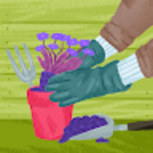 Meet your Posher, Roxanne